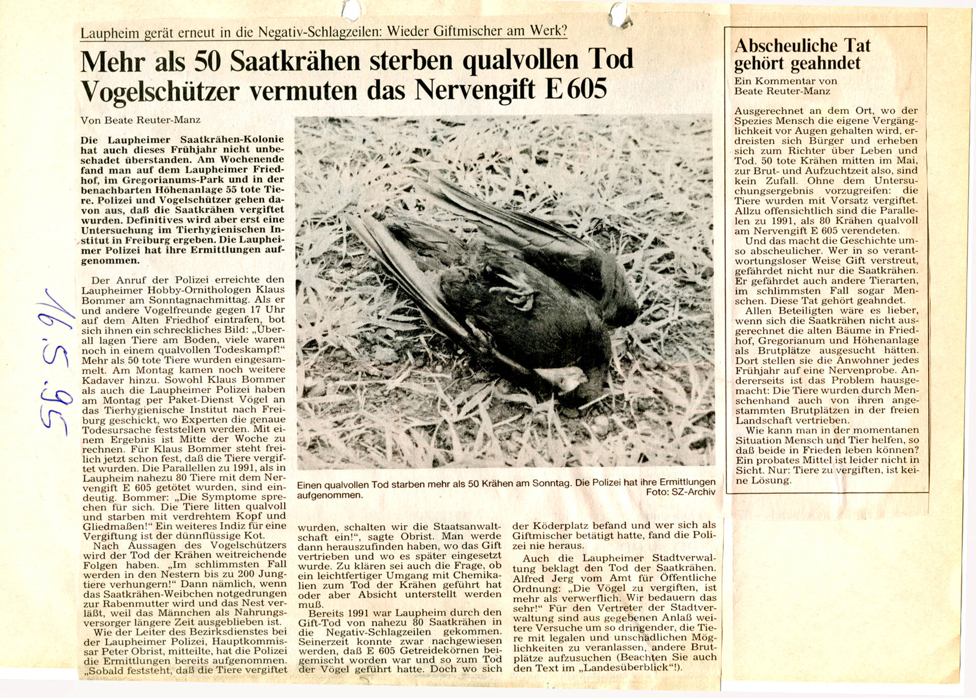 Aus dem Archiv: Schwäbische Zeitung, 16.05.1995: „Mehr als 50 Saatkrähen sterben qualvollen Tod“. 